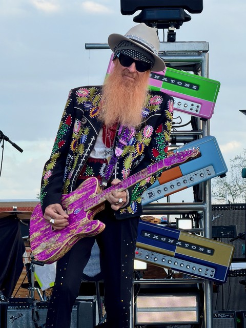 Gibbons